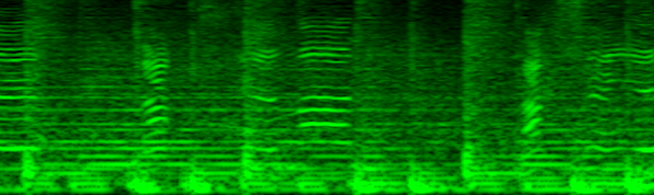 frequencies